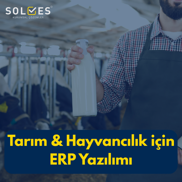 Solves Kurumsal Çözümler Dijital Dönüşüm, ERP ve RPA Danışmanlığı