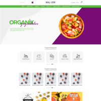 İhracatçı İşletme E-Ticaret Paketi ile Küresel Pazara Açılın