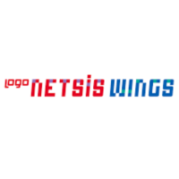 Logo Netsis Wings Entegre | Mikro ve Küçük İşletmeler için Ticari Paket